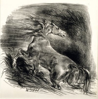 Cheval sauvage, 1828 by Ferdinand Victor Eugene Delacroix